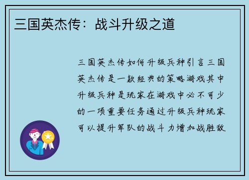 三国英杰传：战斗升级之道